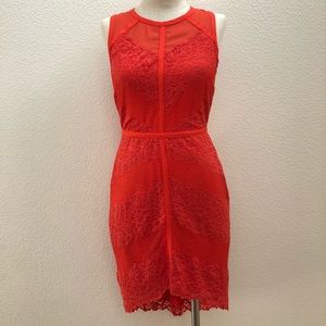 Adelyn Rae red sheath lace Dress